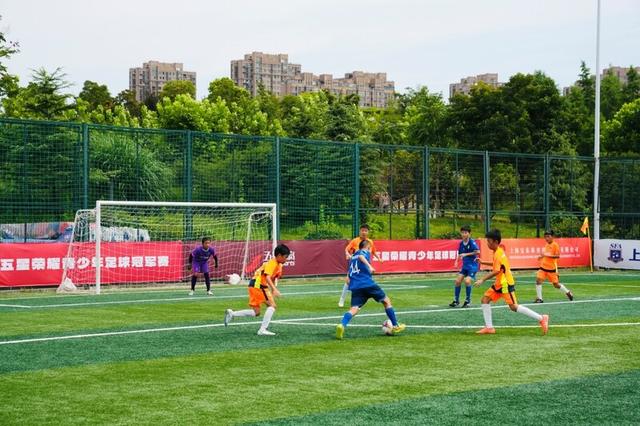全国足球青训项目融合国际先进理念，全面提升少年队伍竞争力的简单介绍
