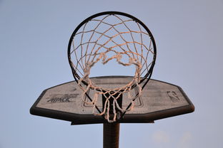 爱游戏体育app-NBA联盟与高校篮球合作开发机制研究，大学篮球联盟叫什么