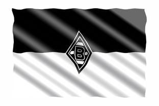 爱游戏app-德甲俱乐部足球与社会公益结合的品牌创新，德甲合作伙伴